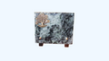 Plaque Funéraire Granit — Arbre de Vie ETG 0012 (20x15 cm)